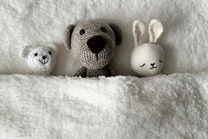 cuddly toys, 4k wallpaper, teddy bear-7596017.jpg